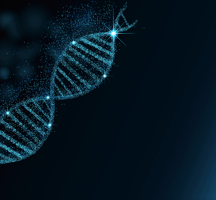 Technisches Bild zu DNA